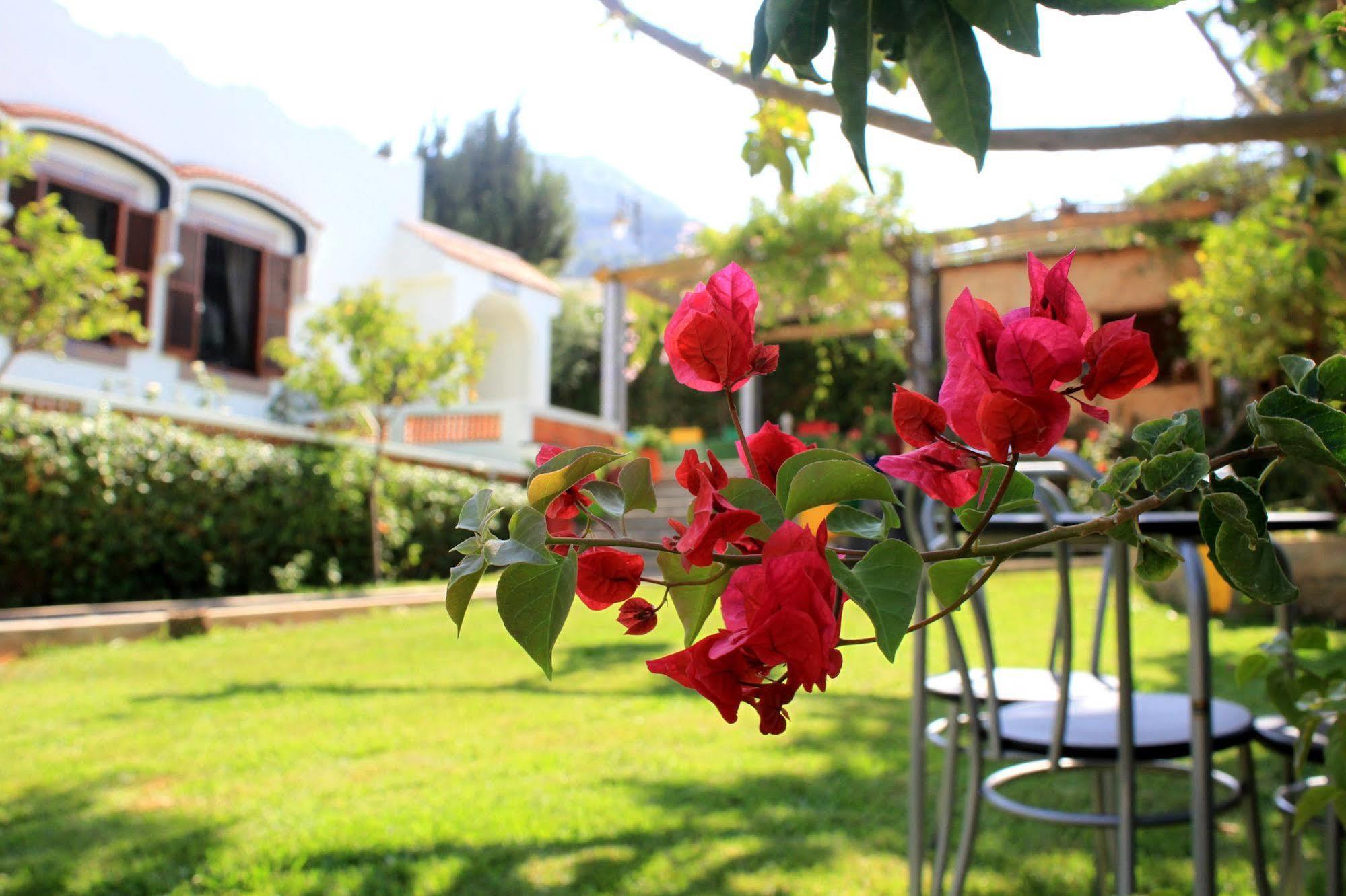 Hotel Riad Dar Achaach Tétouan Exterior foto